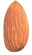Almond1